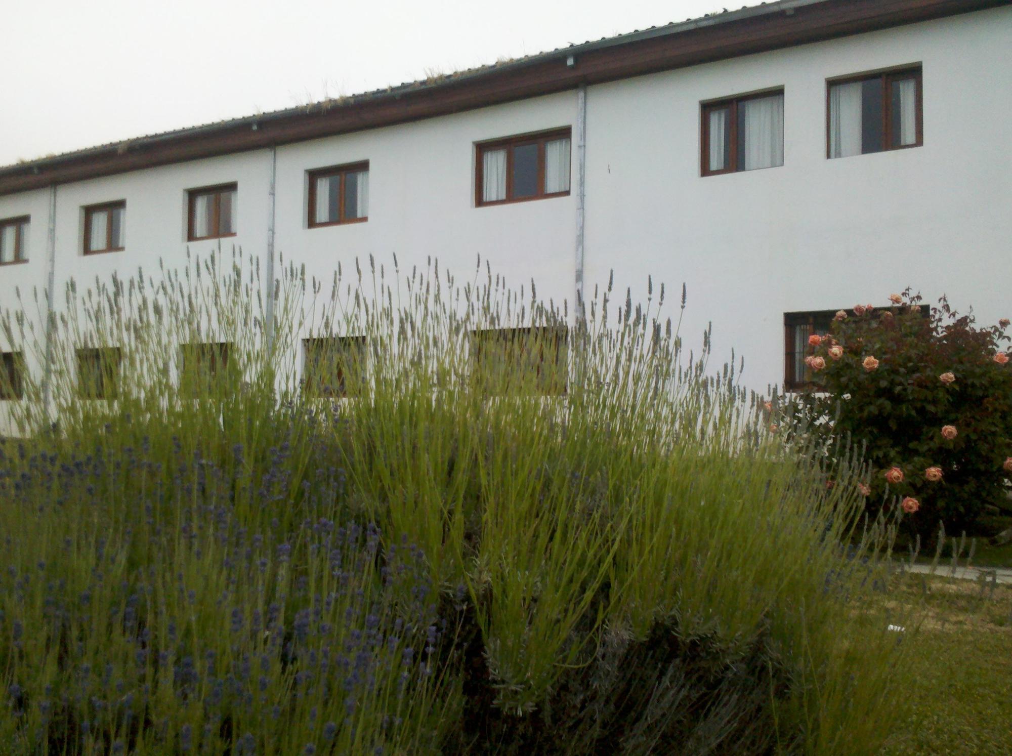 Kalken By Mh Inn El Calafate